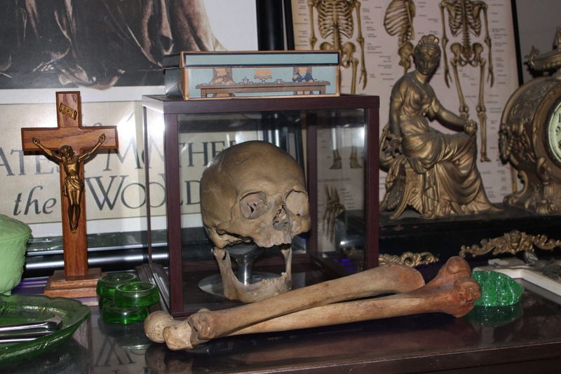 Smyrna couple ‘rescues’ human skeletons, hopes to build a church lined with bones