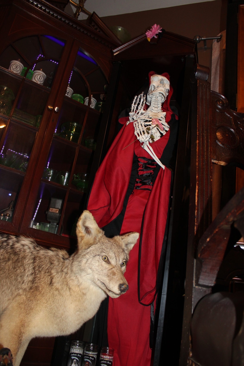 Smyrna couple ‘rescues’ human skeletons, hopes to build a church lined with bones