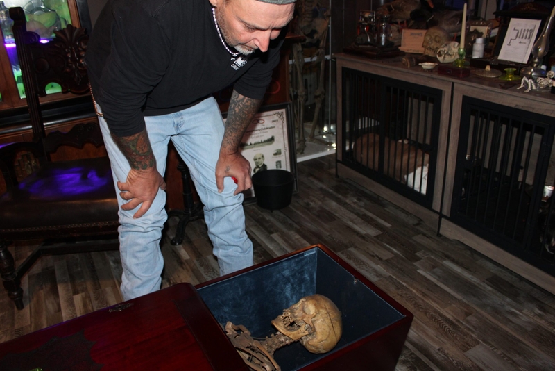 Smyrna couple ‘rescues’ human skeletons, hopes to build a church lined with bones