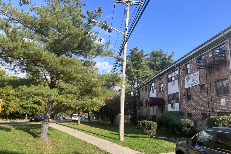 Next to a grassy area, a telephone pole, and a road, a three-story brick apartment complex has a sign that reads "Meadow Lane Apartments."