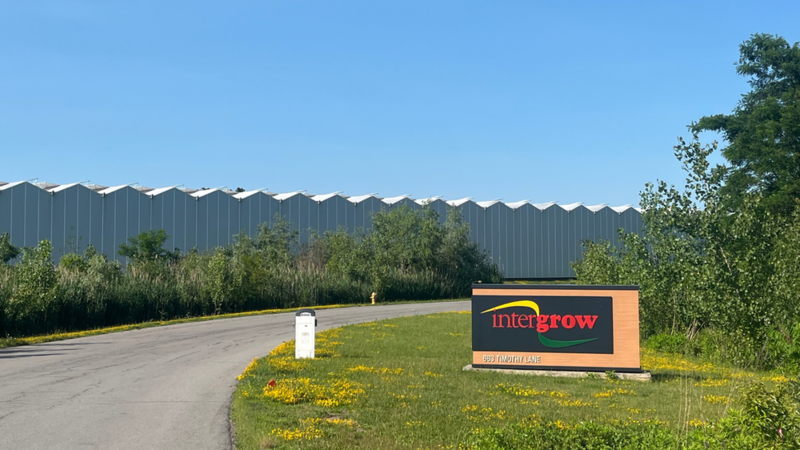 Entrance to the Sungrow tomato plant.
