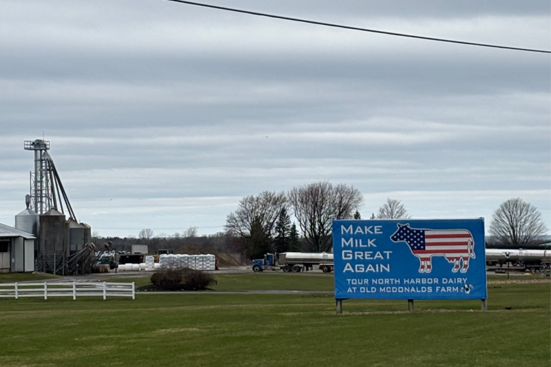 ‘An Open Secret’: Sackets Harbor ICE Raid Shows the ‘Reality’ of New York Dairy Country