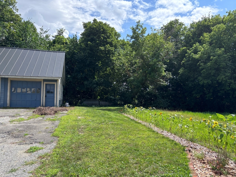 A blue garage sits next to a grassy yard with sunflowers along the edge, bordered by dense green trees under a partly cloudy sky.