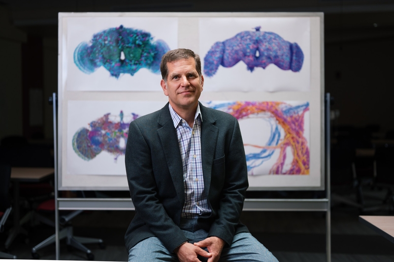 A man in a suit sits in front of a whiteboard displaying four colorful anatomical or scientific illustrations in a room with tables and chairs.