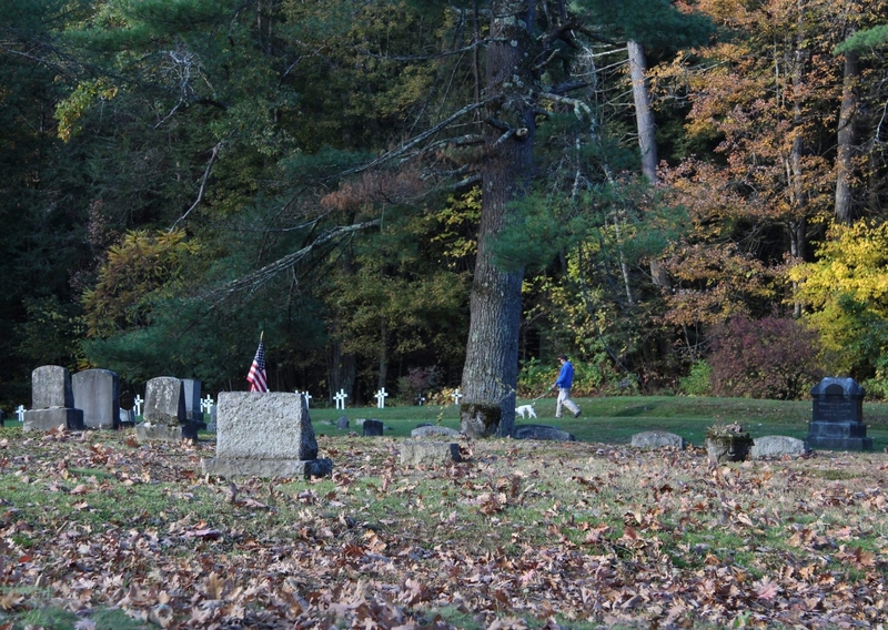 A person walks a dog through a cemetery scattered with fallen leaves, with trees in the background.