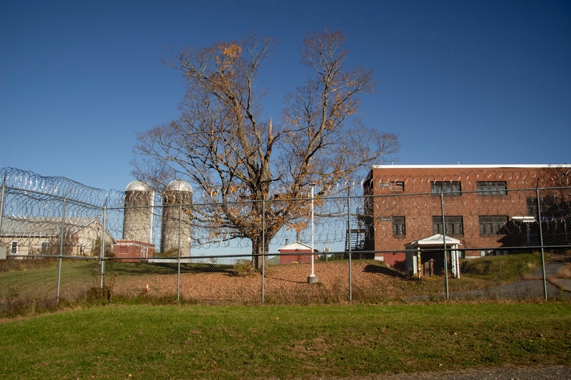A fenced-in site featuring two silos, a large bare tree, and a brick building, all surrounded by a chain-link fence topped with razor wire.