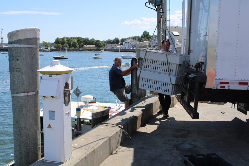 A pilot program in Plymouth hopes to crack the code on insurance in coastal communities