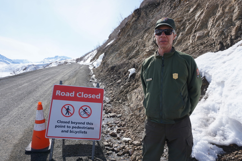 Dave Schirokauer, Denali National Park's science and resources team leader, stands on May 5 at the East Fork turnaround site on the park's road, at about mile 43 of the 92-mile route. Tour buses can go no further on the road because of the closure a couple of miles to the west at the dangerous Pretty Rocks landslide site. (Photo by Yereth Rosen/Alaska Beacon)