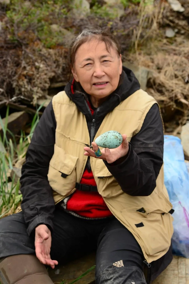 On a day trip subsistence fishing in the Tuksuk Channel, Mary Jane Litchard, 72, holds up a part of her family’s lunch: a hard-boiled murre egg. (Photo by Berett Wilber for Northern Journal)
