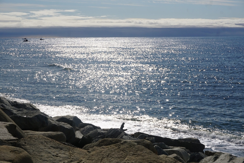 Sunlight reflects off the waters of Norton Sound off Nome on Sept. 4, 2021. In the distance on the left are floating gold dredges. (Photo by Yereth Rosen/Alaska Beacon)