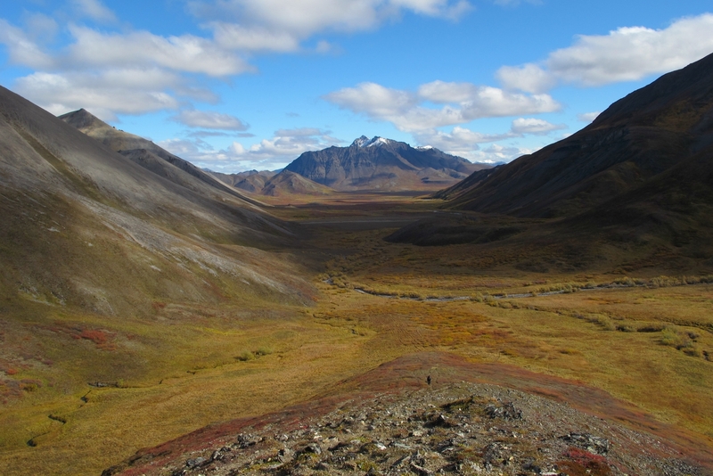 Snow-dusted Copter Peak, at the northern edge of Noatak National Preserve in Arctic Alaska, is seen from a valley. Nunaviksak Creek runs along the base of the mountain. The view was captured in a painting by Alaska artist MK MacNaughton. (Photo provided by National Park Service)