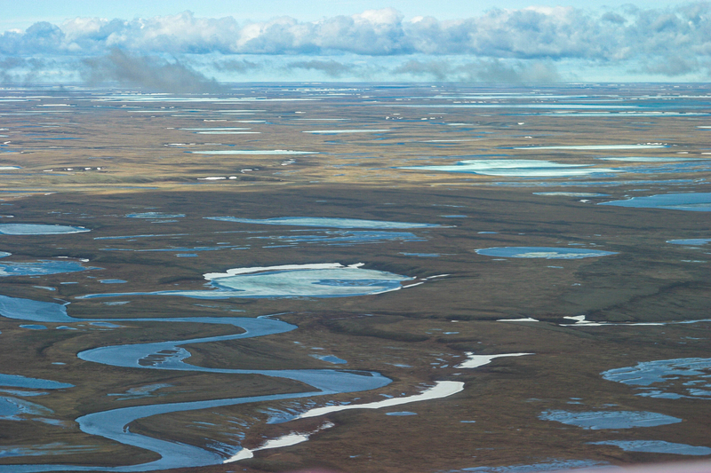 A few snow drifts remain on June 18, 2004, on the Arctic coastal plain of the National Petroleum Reserve in Alaska. (Photo by Craig McCaa/U.S. Bureau of Land Management)
