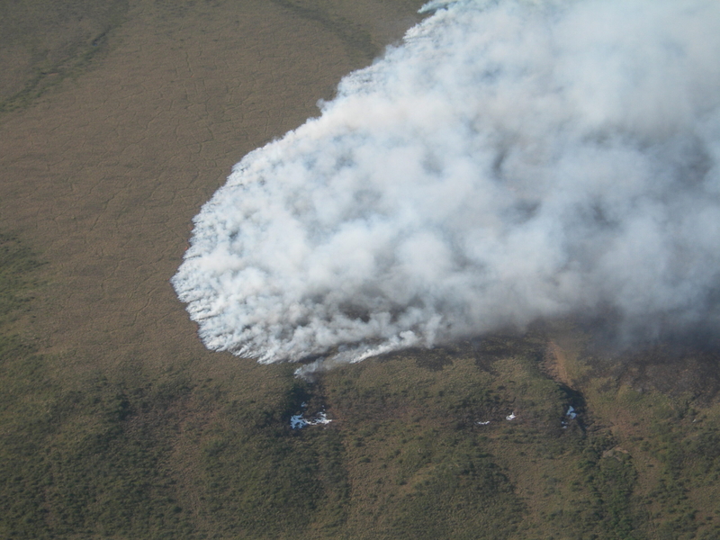 Smoke from the Noatak Grand Canyon Fire, burning in tundra in Alaska's Noatak National Preserve, rises into the air on June 8, 2012. (Photo by Dan Stevenson/National Park Service)