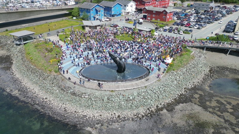 A large crowd gathered in Juneau for the "No Kings" protest on June 14, 2025 (Photo courtesy of Richard Carstensen)