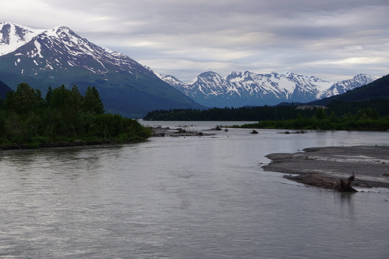The Snow River, fed by Snow Glacier, flows into Kenai Lake north of Seward on June 21, 2025. (Photo by Yereth Rosen/Alaska Beacon)