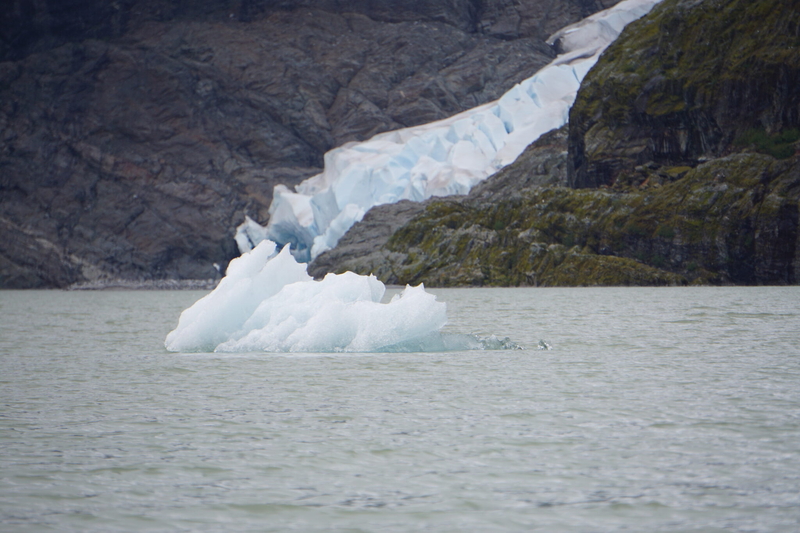 A chunk of ice that calved from Mendenhall Glacier floats in Mendenhall Lake on May 14, 202., (Photo by Yereth Rosen/Alaska Beacon)