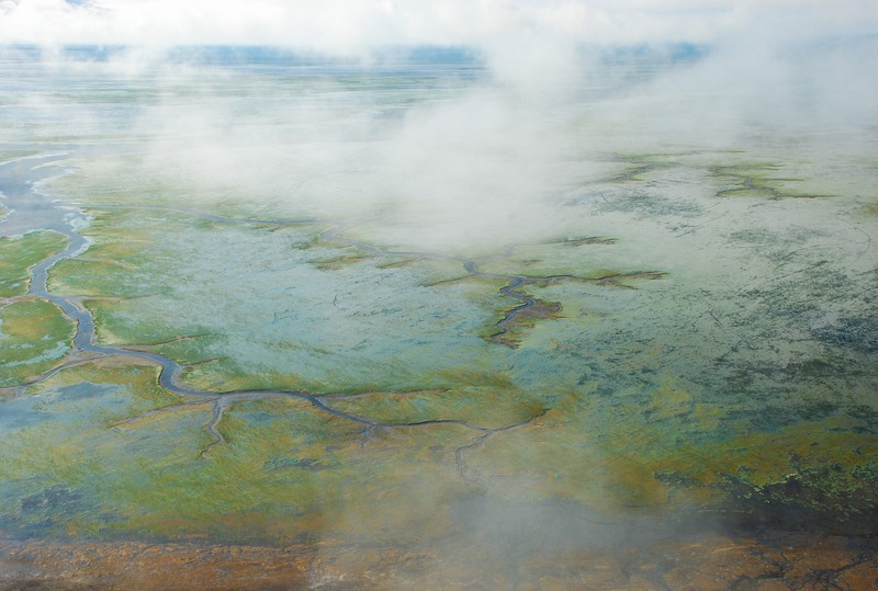 Green eelgrass appears at low tide on April 17, 2021, in the vast wetlands of Izembek Lagoon, at the edge of Izembek Refuge. (Photo by Kristine Sowl/U.S. Fish and Wildlife Service)
