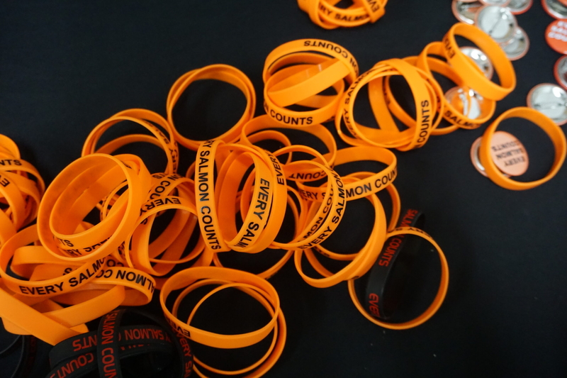 Wristbands and buttons bearing the slogan "EVERY SALMON COUNTS" are displayed on a table on Feb. 9, 2026. The wristbands and buttons were being distributed by tribal organizations attenting the North Pacific Fishery Management Council meeting in Anchorage. The slogan references the argument that every salmon that avoids bycatch and is able to swim to river spawning grounds is important to the population and to the people who depend on salmon runs. (Photo by Yereth Rosen/Alaska Beacon)
