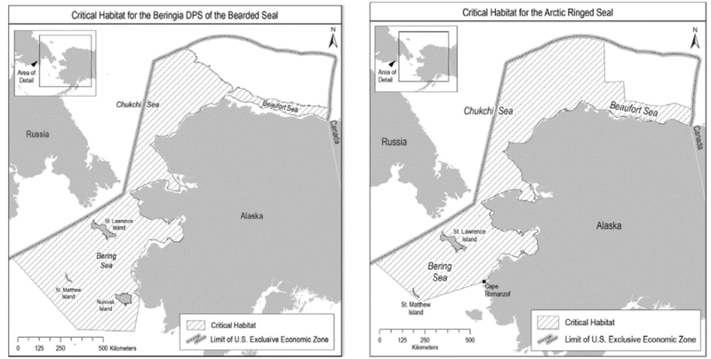 Maps show the extent of critical habitat designated in 2022 for bearded and ringed seals by the National Oeanic and Atmospheric Administration's National Marine Fisheries Service. Ringed and bearded seals were listed as threatened in 2012. The Endangered Species Act mandates designation of critical habitat for listed populations. (Maps from the 9th Circuit Court of Appeals opinion, State of Alaska v. National Marine Fisheries Service, March 25, 2026)