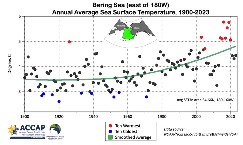 Average sea surface temperatures in the Being Sea have risen steadily over the long term, and nine of the 10 warmest years between 1900 and 2023 were recorded after 2020. (Graph provided by the Alaska Center for Climate Assessment and Preparedness/University of Alaska Fairbanks)