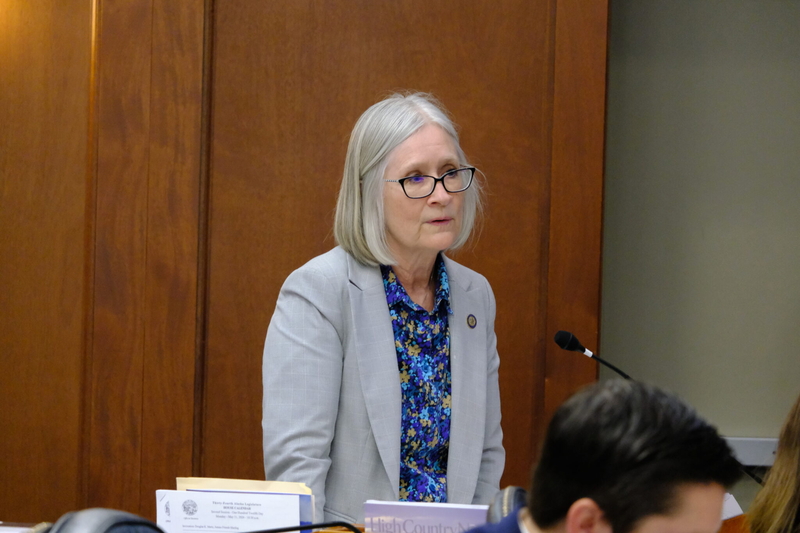 Rep. Andi Story, D-Juneau, speaks on the House floor on May 11, 2026. (Photo by Corinne Smith/Alaska Beacon)