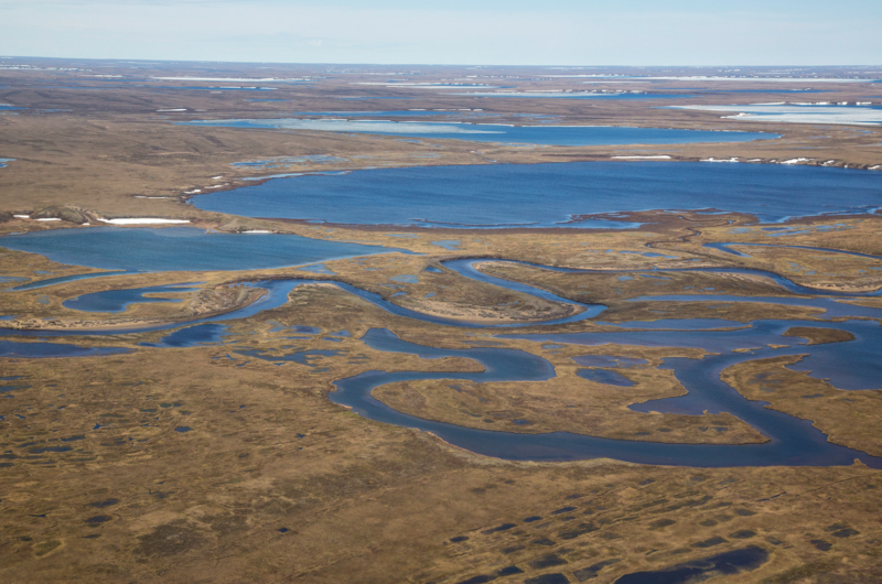Lakes and wetlands within the National Petroleum Reserve - Alaska. (Bob Wick/U.S. Bureau of Land Management)
