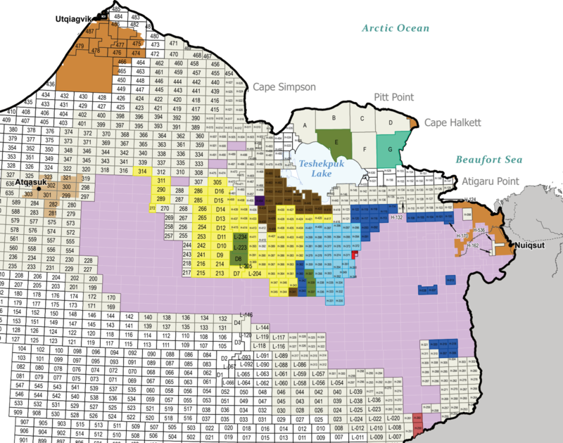 This map, from the U.S. Bureau of Land Management, shows the results of a major lease sale in the National Petroleum Reserve - Alaska earlier this year. The parcels in dark brown, at the southwest corner of Teshekpuk Lake, were areas where ExxonMobil was the high bidder, but many of those leases haven't been issued due to ongoing litigation.