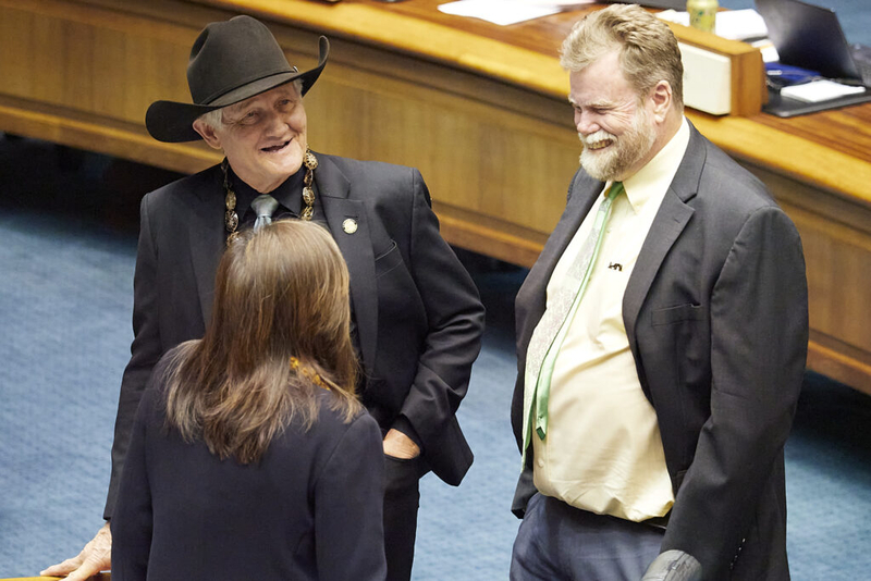 Views from both the House of Representatives and the Senate, photographed April 30th, 2025.  Discussion during the recesses and during each of the bills under discussion.Big Island Senators Tim Richards, Angus L.K. McKelvey and Joy A. San Buenaventura (David Croxford/Civil Beat/2025)