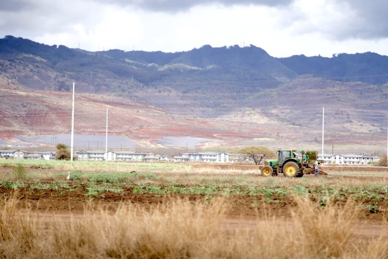Fake Farms Get Tax Breaks, But Hawaiʻi Can’t Stop Them Yet