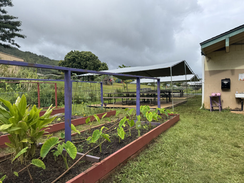 Hawaiʻi Charter Schools Promised A New Model. Did They Succeed?