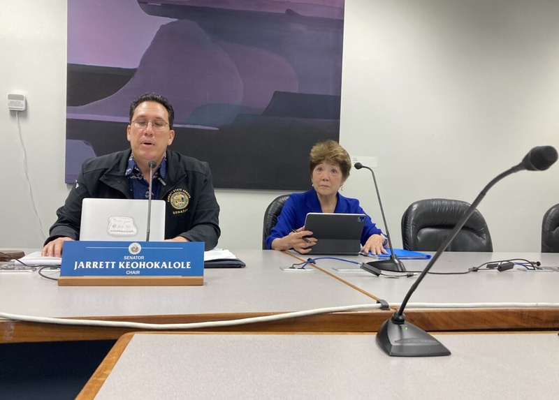 With Immigrant Protection Bills, Hawaiʻi Joins States Resisting ICE Crackdown