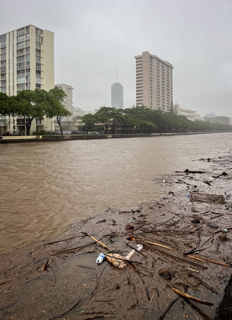 Debris gathers on the Waikiki side of the Ala Wai Canal during a slow-moving Kona storm March 13, 2026. (Craig Fujii/Civil Beat/2026)