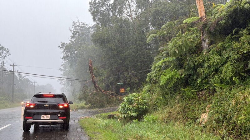 Lost Homes, Destroyed Farms: Hawaiʻi Takes Stock In Wake Of Storm