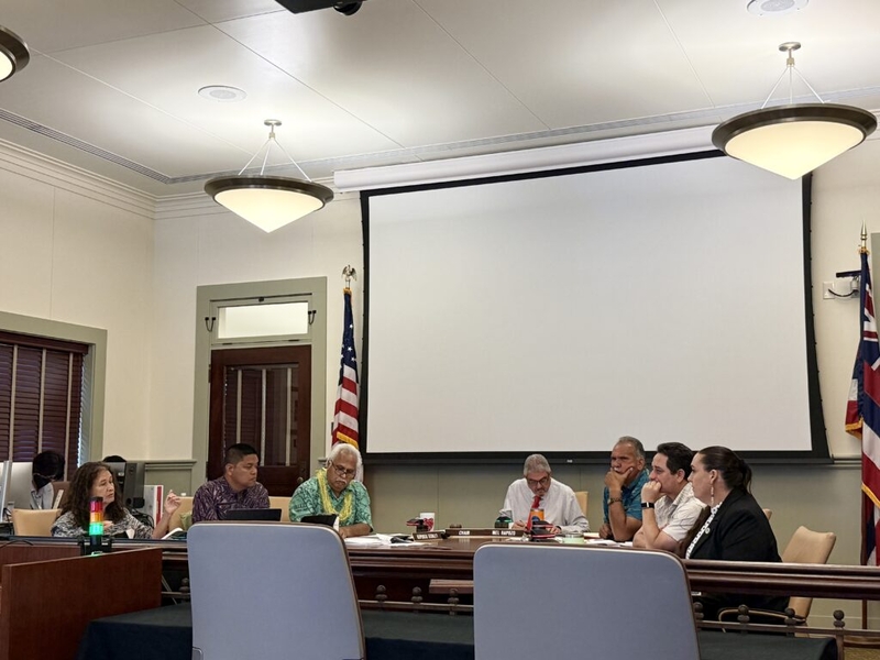 Seven councilmembers sit around a table while an empty screen hangs behind them.