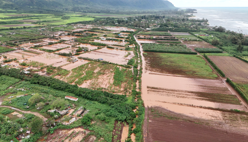 Neglected North Shore Plantation Waterways Fueled Damaging Floods