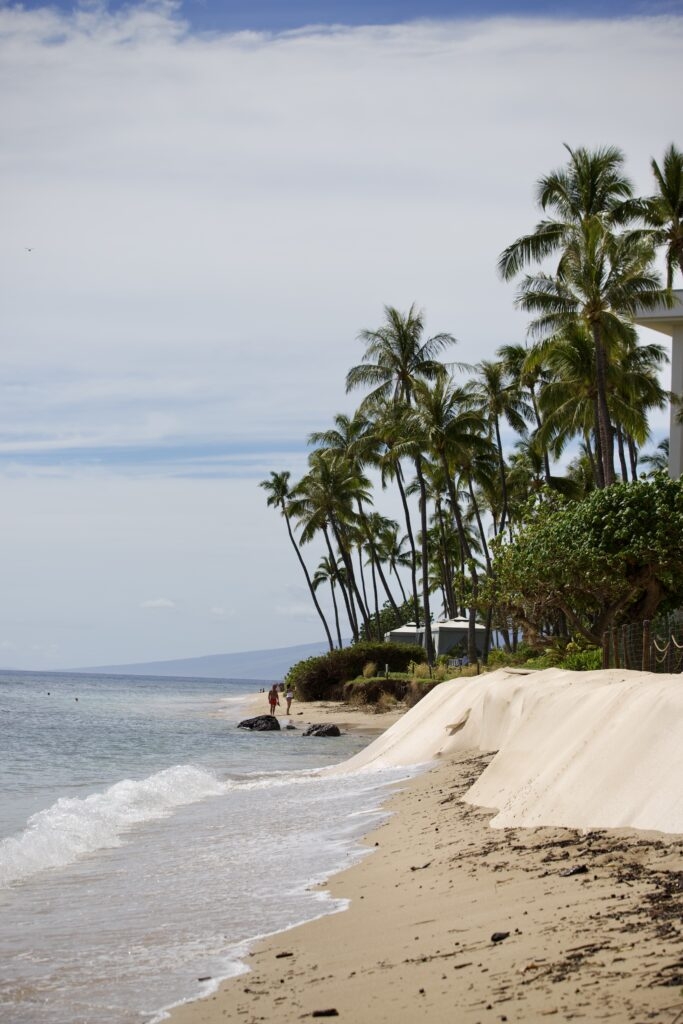 Maui Resort’s Plastic Barrier To Save Beachwalk Faces Public Pushback
