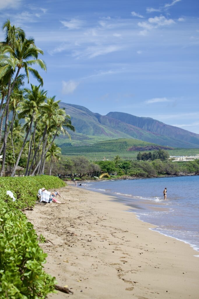 Maui Resort’s Plastic Barrier To Save Beachwalk Faces Public Pushback