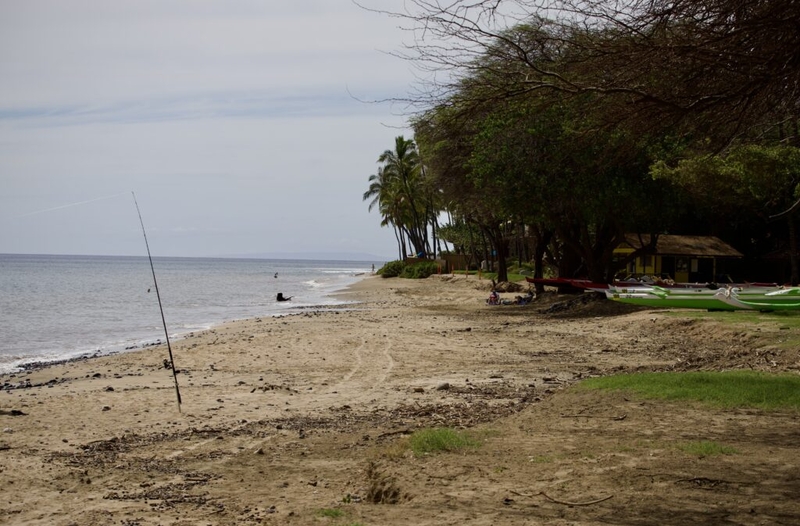 Maui Resort’s Plastic Barrier To Save Beachwalk Faces Public Pushback