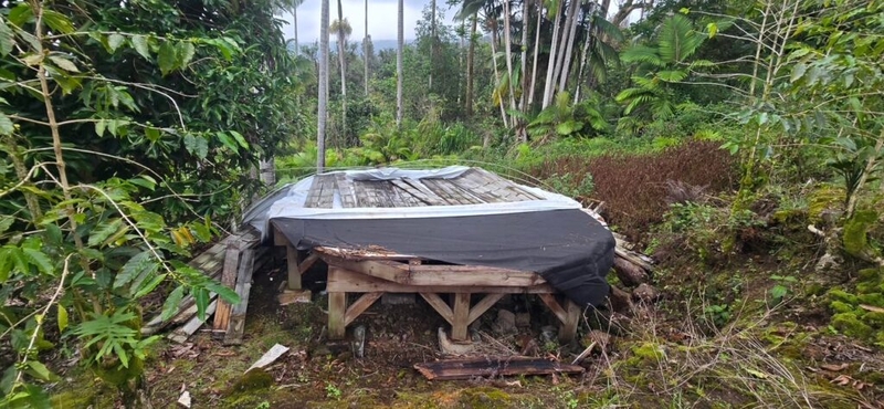 A pile of redwood and a liner made of synthetic fabric lie on a wooden plaform, surrounded by coffee and palm trees.