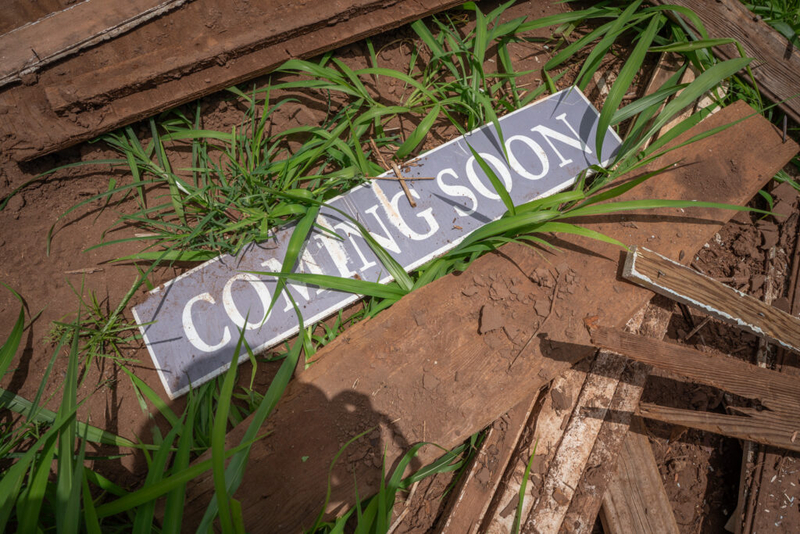 A sign sits amid flood debris on a Wailua farm  June 1, 2026. Area farmers are working to clear their land of debris and sediment from the Kona low storms in March. (Craig Fujii/Civil Beat/2026)