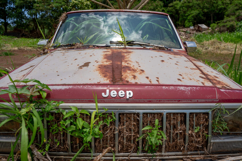A Jeep sits amid floodwater debris harboring new plantlife on a Wailua farm June 1, 2026. Farmers are working to clear their land of flood debris and sediment that has inundated their properties. (Craig Fujii/Civil Beat/2026)