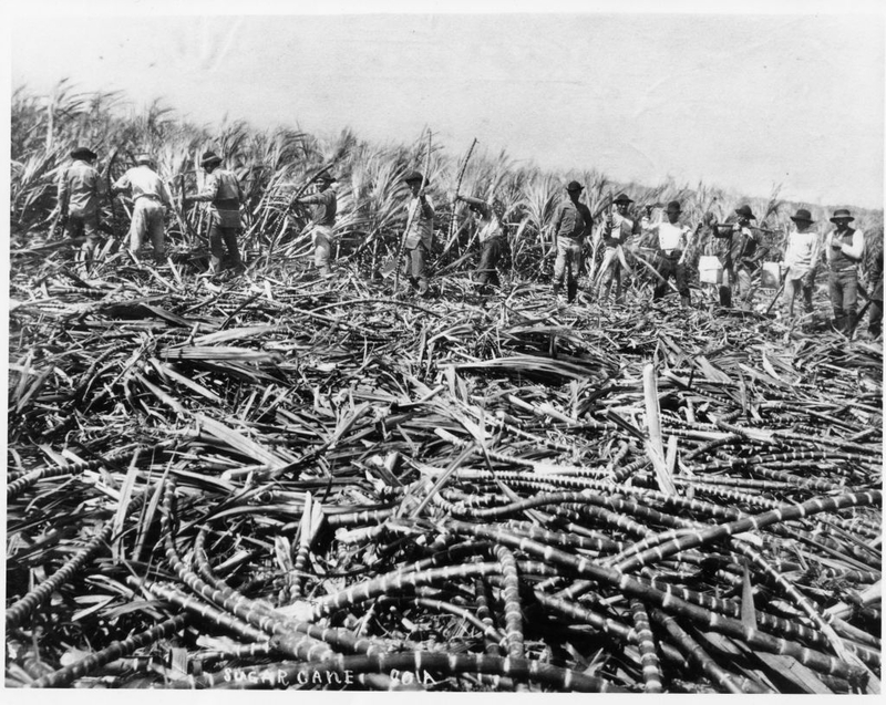 Maui Coral Reef Holds Secrets Of The Past — And The Future