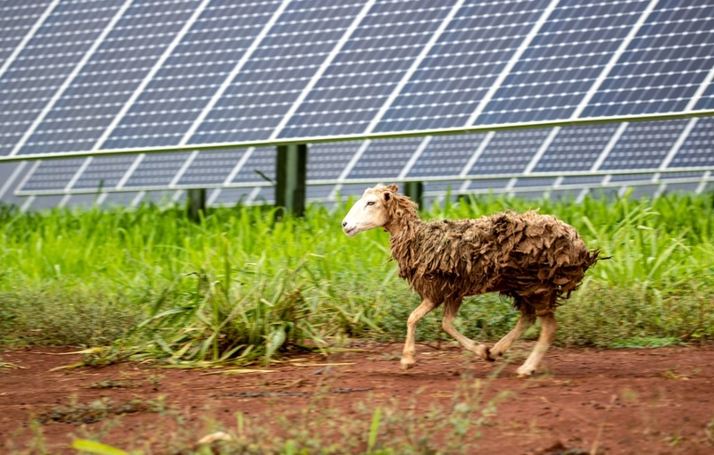 UH Report: Oʻahu Needs More Solar, Not New Power Plants