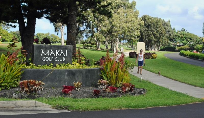 Lines Drawn In Princeville Battle: Golf Course Views Vs. Luxury Development