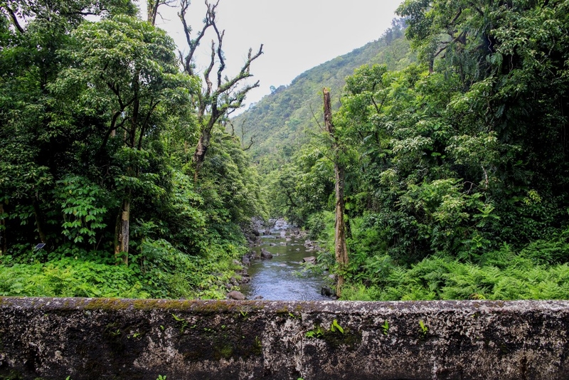 East Maui Stream