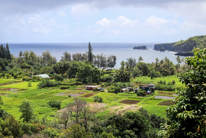 Public Or Private? The Future Of East Maui’s Water Is At Stake