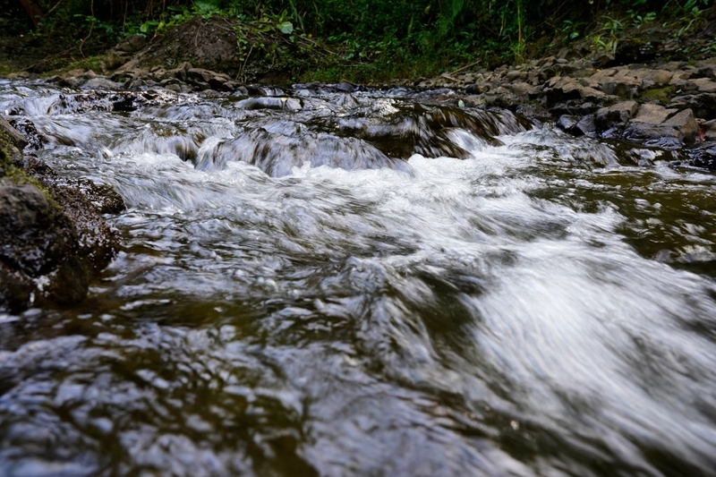 Water flows in the Hoolawa Stream Thursday, Oct. 3, 2024, in Huelo. East Maui water rights are a point of contention. (Kevin Fujii/Civil Beat/2024)