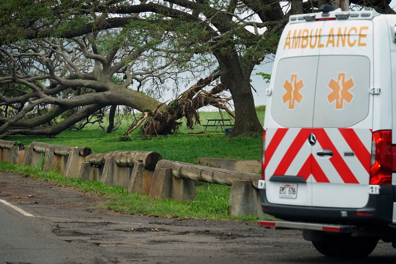 An uprooted tree at Haleʻiwa Aliʻi Beach Park is photographed Saturday, March 21, 2026, in Haleʻiwa. A second Kona low storm brought heavy rain after the previous week’s downpour and high winds. (Kevin Fujii/Civil Beat/2026)