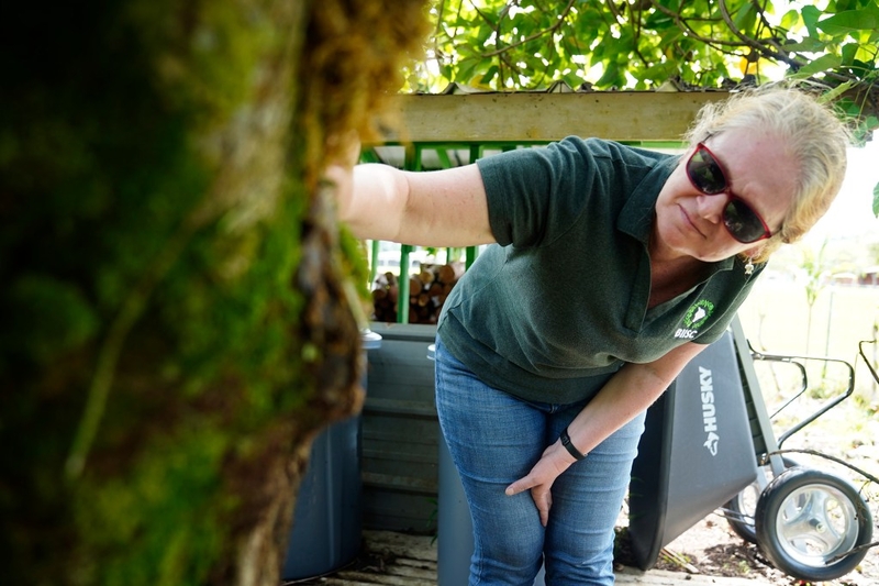 Big Island Invasive Species program manager Franny Brewer looks at Queensland Longhorn Beetle damage on a kukui tree Tuesday, April 14, 2026, at the Hawaiʻi Academy of Arts and Sciences in Pāhoa. Federal research facilities will be closed according to the U.S. Forest Service, threatening research of bio-controls and biosecurity. (Kevin Fujii/Civil Beat/2026)