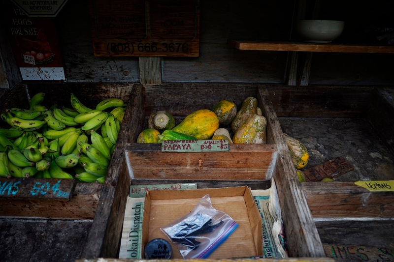 Farm-grown produce in a rural east Molokaʻi farm stand are photographed Wednesday, May 27, 2026, along Hawaiʻi State Route 450. (Kevin Fujii/Civil Beat/2026)